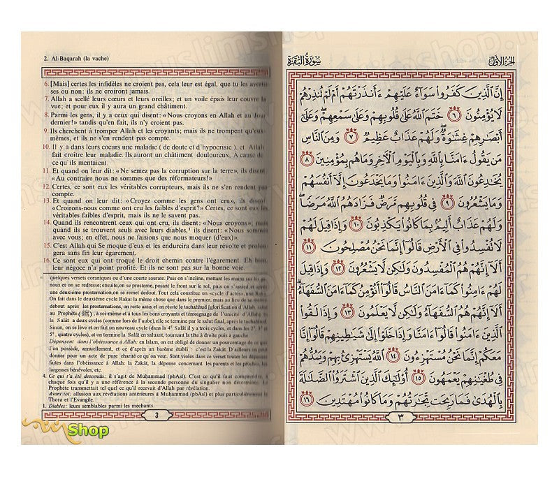 The Noble Quran and the French translation of its meanings